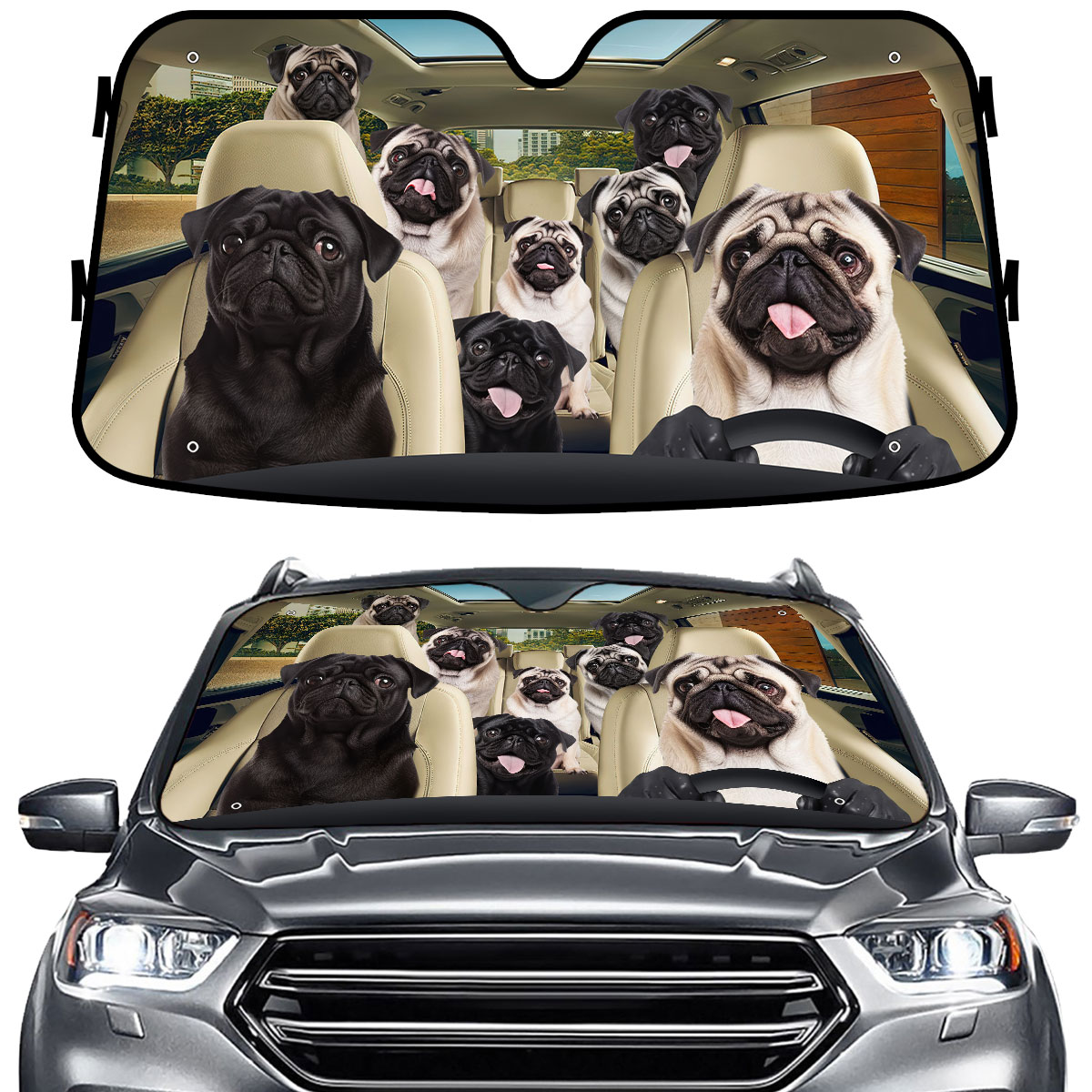 Windshield Sun Shades