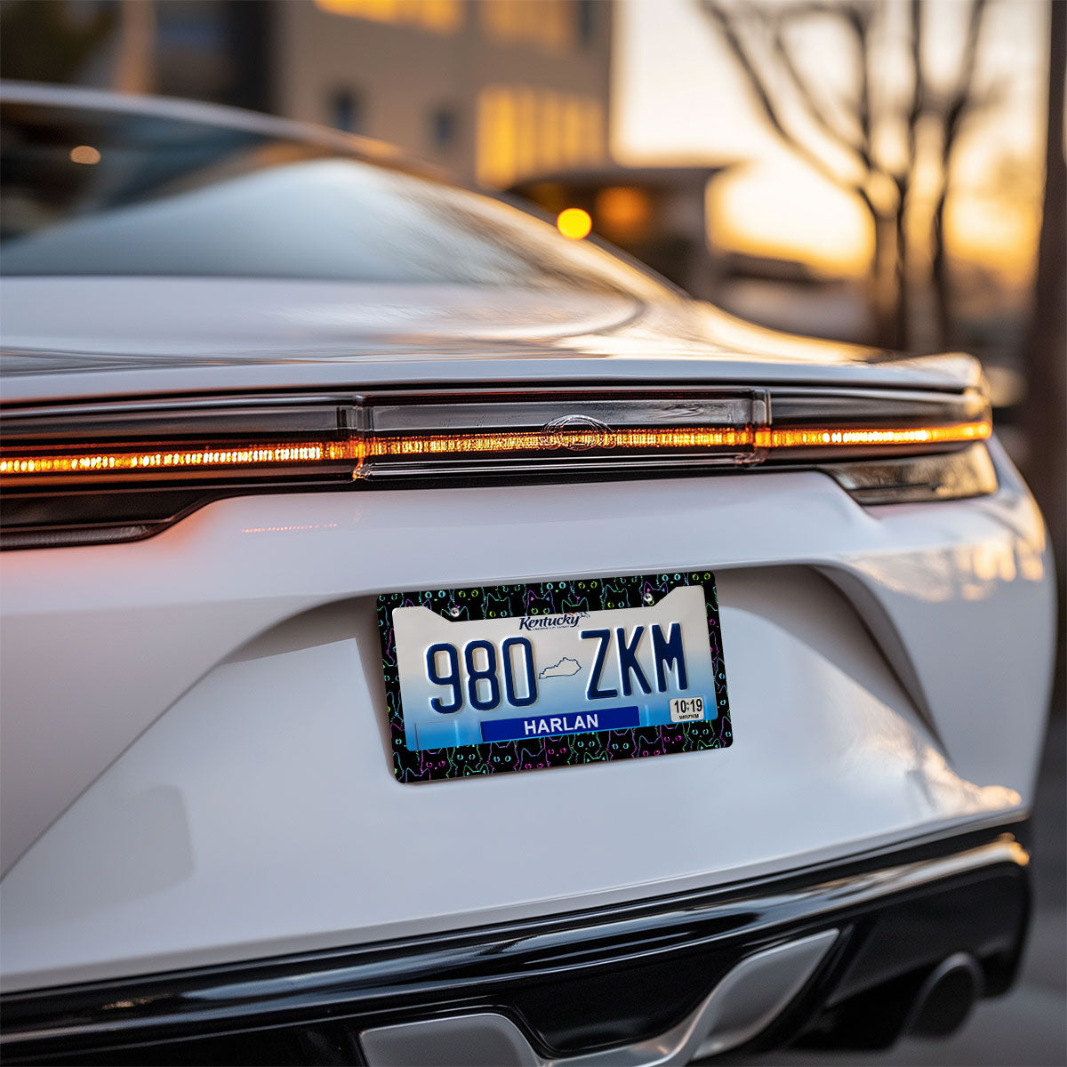 License Plate Frames