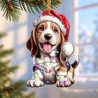 Basset Hound