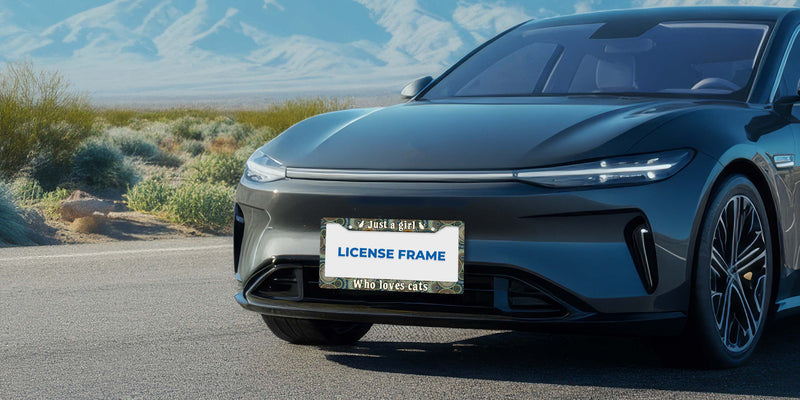 LICENSE PLATE FRAMES