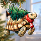 Tree Turtle