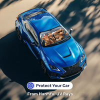 Highland Cow Car Windshield Sun Shade – Foldable UV Heat Shield