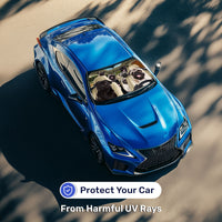 Pug Group Car Windshield Sun Shade – Foldable UV Heat Shield