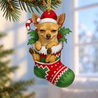 Chihuahua Stocking