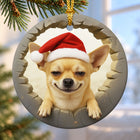 Chihuahua Santa